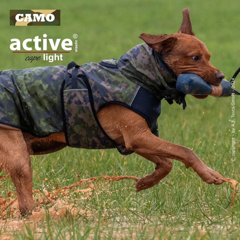Hund im camouflaged Outfit läuft mit Spielzeug über grünen Rasen, bereit für aktive Einsätze. Wassertropfen im Hintergrund.