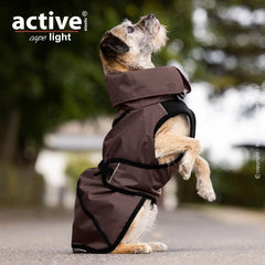 Brauner wasserdichter Hundemantel auf sitzendem Hund, hohe Kragen und verstellbare Riemen, unscharfe Bäume im Hintergrund.