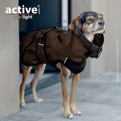 Aufmerksamer Hund in schokoladenbraunem, wetterfestem Mantel mit Gurten auf grauem Boden.