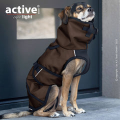 Hund im braunen, wetterfesten Mantel mit Kapuze und reflektierenden Elementen vor grauer Wand sitzend.