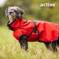 Hund mit rotem Regenmantel und verstellbarem Kragen steht auf einer grünen Wiese, umgeben von Gras.