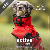 Kleiner Hund in rotem Übergangsanzug mit Gürtel, steht auf grüner Wiese und schaut in die Kamera.