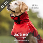 Active© cape light