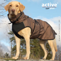 Labrador Retriever im braunen, wind- und wasserdichten Hundemantel auf Steinhaufen in natürlicher Kulisse.