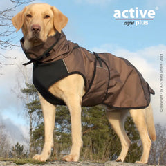 Labrador Retriever im braunen, wind- und wasserdichten Hundemantel auf Steinhaufen in natürlicher Kulisse.