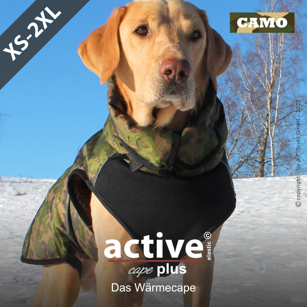 Hund im camouflage Wärmecape auf schneebedecktem Boden, umgeben von Bäumen. Ideal für Outdoor-Aktivitäten.