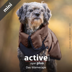 Kleiner Hund im braunen Wärme-Cape active© cape elastic plus mini, warm und schützend, unscharfer Hintergrund.
