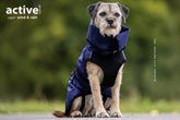 Hund im blauen Wind- und Regencape mit hohem Kragen, sitzt auf einem Weg vor grüner Landschaft.