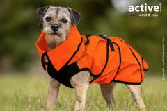 Kleiner Hund mit orangefarbenem Regenmantel auf einer Wiese, perfekt für Wind und Regen, Produktfoto von Active© cape.