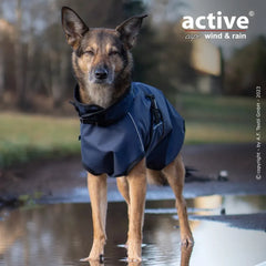 Hund in wasserdichtem schwarzen Cape steht aufmerksam in Pfütze, umgeben von natürlichem Umfeld. Ideal bei Wind und Regen.