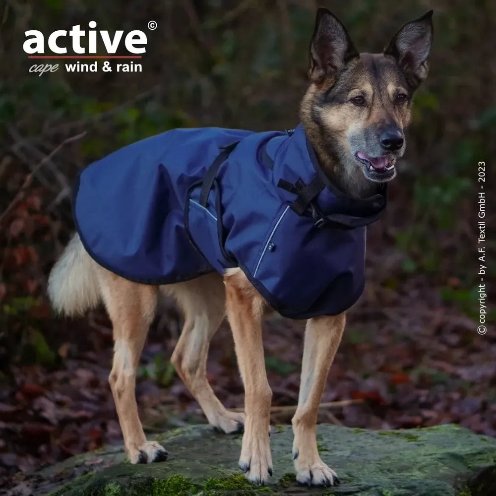 Dunkelblauer Regen- und Windschutzanzug für Hund in natürlicher Umgebung mit Bäumen. Hund steht auf einem Stein.