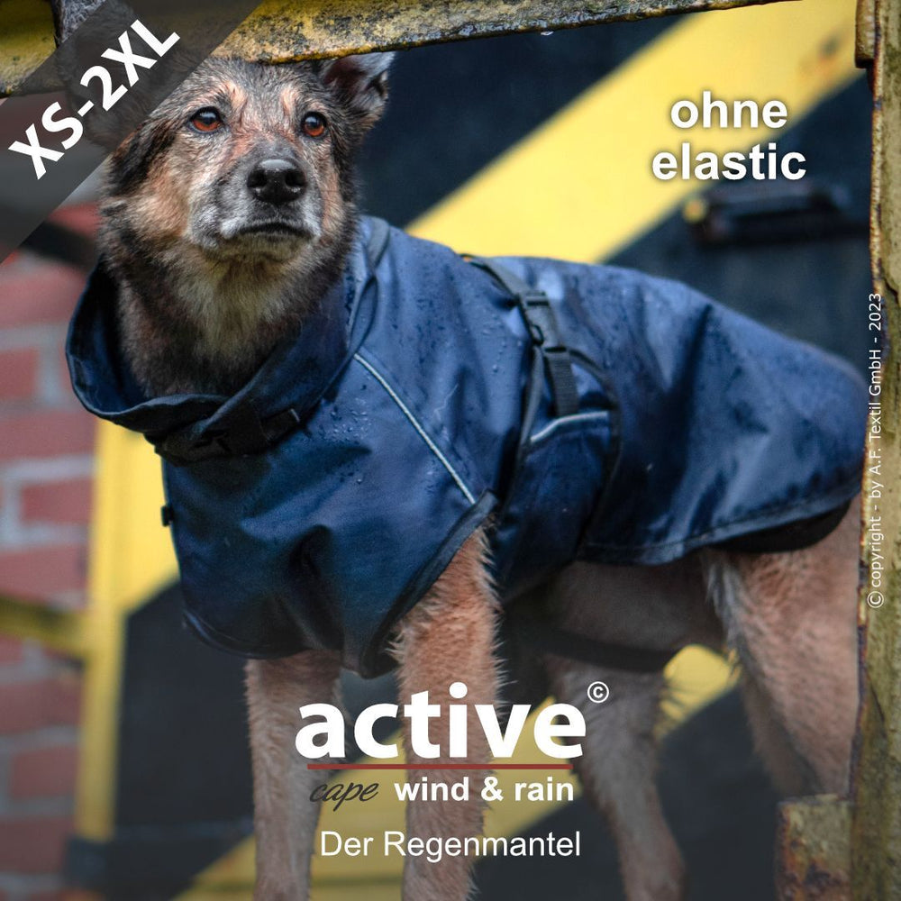 Hund auf Treppe in blauen "Active Cape Wind & Rain" Regenmantel, erhältlich in XS bis 2XL.