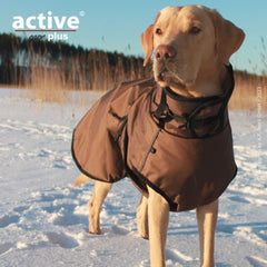 Labrador in braunem Hundemantel auf schneebedecktem Boden vor winterlicher Landschaft und blauem Himmel.