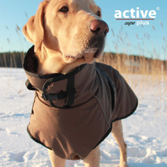 Labrador in braunem Hundemantel auf schneebedecktem Boden, umgeben von hohen Gräsern.