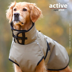 Golden Retriever trägt beigen Hundemantel in outdoor Umgebung mit hohem Kragen und Schnallen.