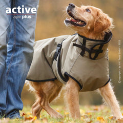 Goldener Retriever in wetterfestem Mantel läuft neben einer Person mit Jeans im herbstlichen Laub.