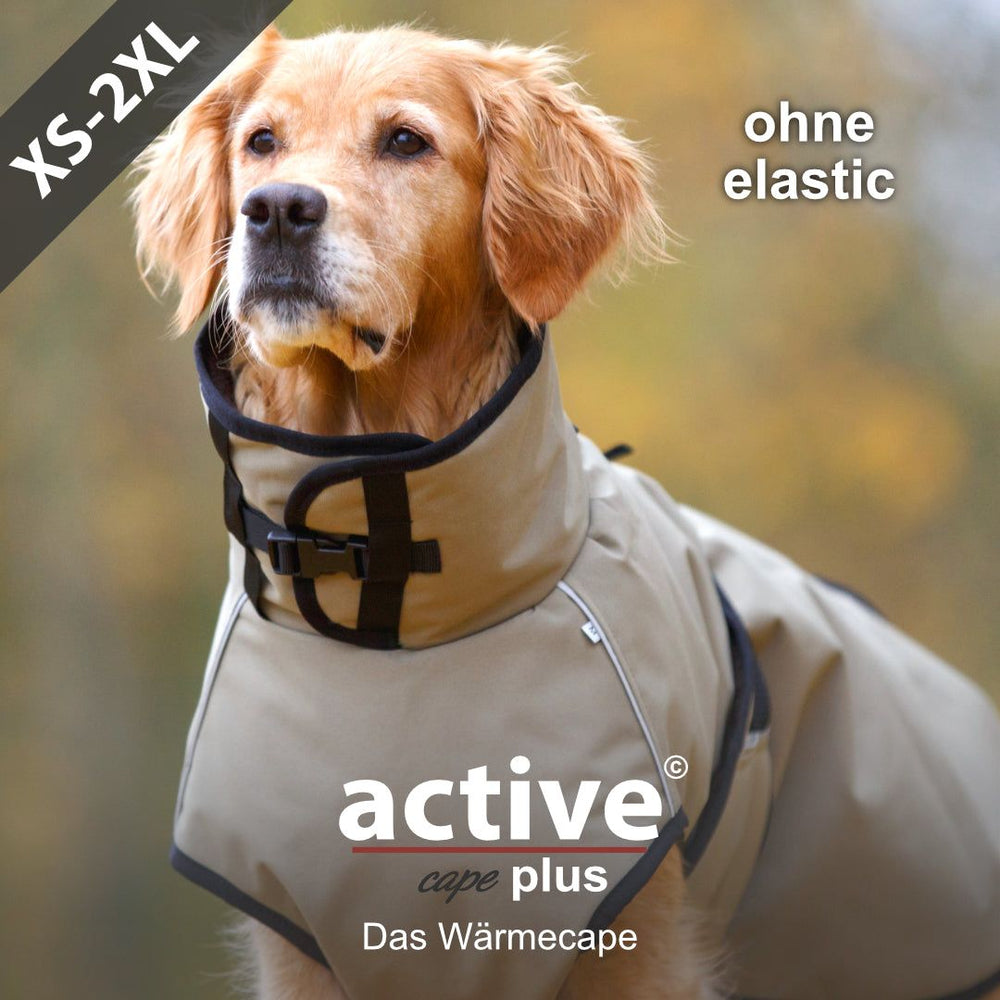 Hund im beige-farbenen Wärmecape mit hohem Kragen in unscharfem Hintergrund aus Grün und Braun.