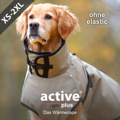 Hund im beige-farbenen Wärmecape mit hohem Kragen in unscharfem Hintergrund aus Grün und Braun.