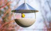 Gelber Vogel auf hängendem Futterhaus aus Granicium mit halbkugelförmiger Schale und metallischem Dach.