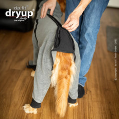 Hund probiert graue Jacke mit schwarzem Futter an, während eine Person hilft.