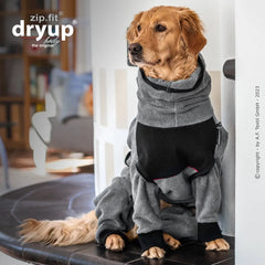 Goldener Retriever mit grauem Hundepullover sitzt auf Fensterbank in modernem Raum. Pullover hat hohen Kragen und schwarze Ärmel.