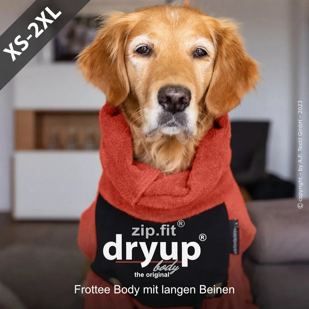 Golden Retriever trägt roten Frottee-Anzug mit langen Beinen und schwarzer Vorderseite, beschriftet mit "dryup".