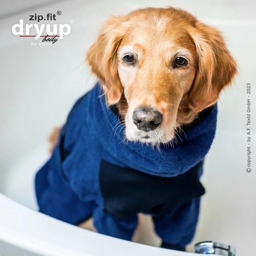 Golden Retriever in Badewanne mit blauem flauschigen Anzug von Dryup® BODY zip.fit®, schaut in die Kamera.