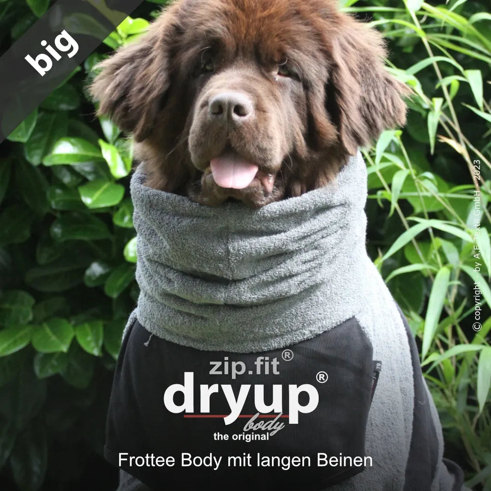 Hund trägt grauen Frottee-Body mit langen Beinen, schwarz oben, vor sanftem Hintergrund. Ideal für warme Kleidung.