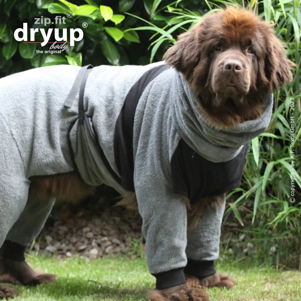 Hund im grauen Warmanzug mit Kapuze, ideal für kalte Tage, steht vor einer grünen Hecke.