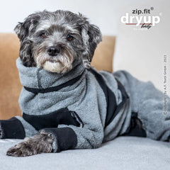 Kleiner Hund in grauem Overall mit schwarzen Streifen, entspannt auf Sofa liegend und in die Kamera schauend.