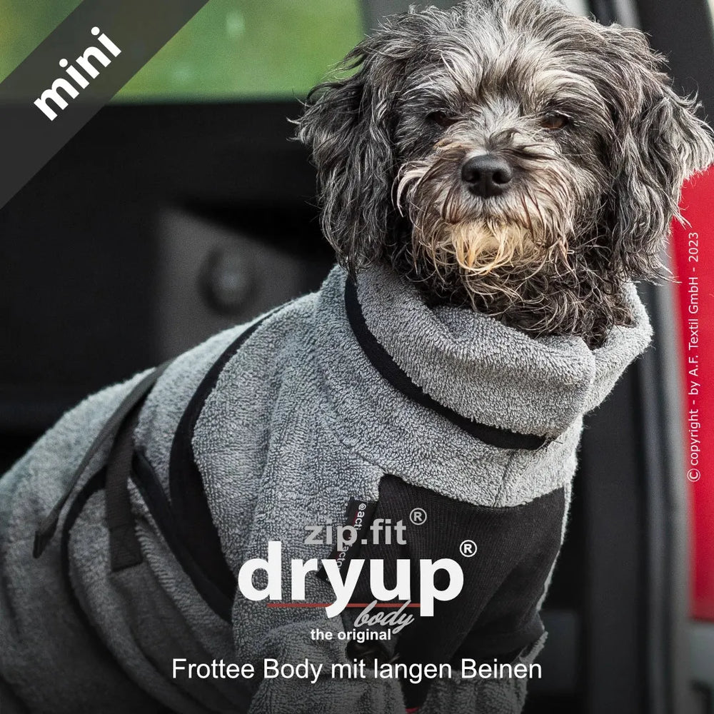 Hund im grauen Frottee-Overall mit schwarzen Details, sitzt im Fahrzeug und wirkt dabei gemütlich und komfortabel.