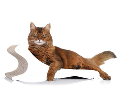 weiß, gestrichen (000x) - Bild 2