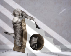 rund, weiß, gestrichen (000x) - Bild 1