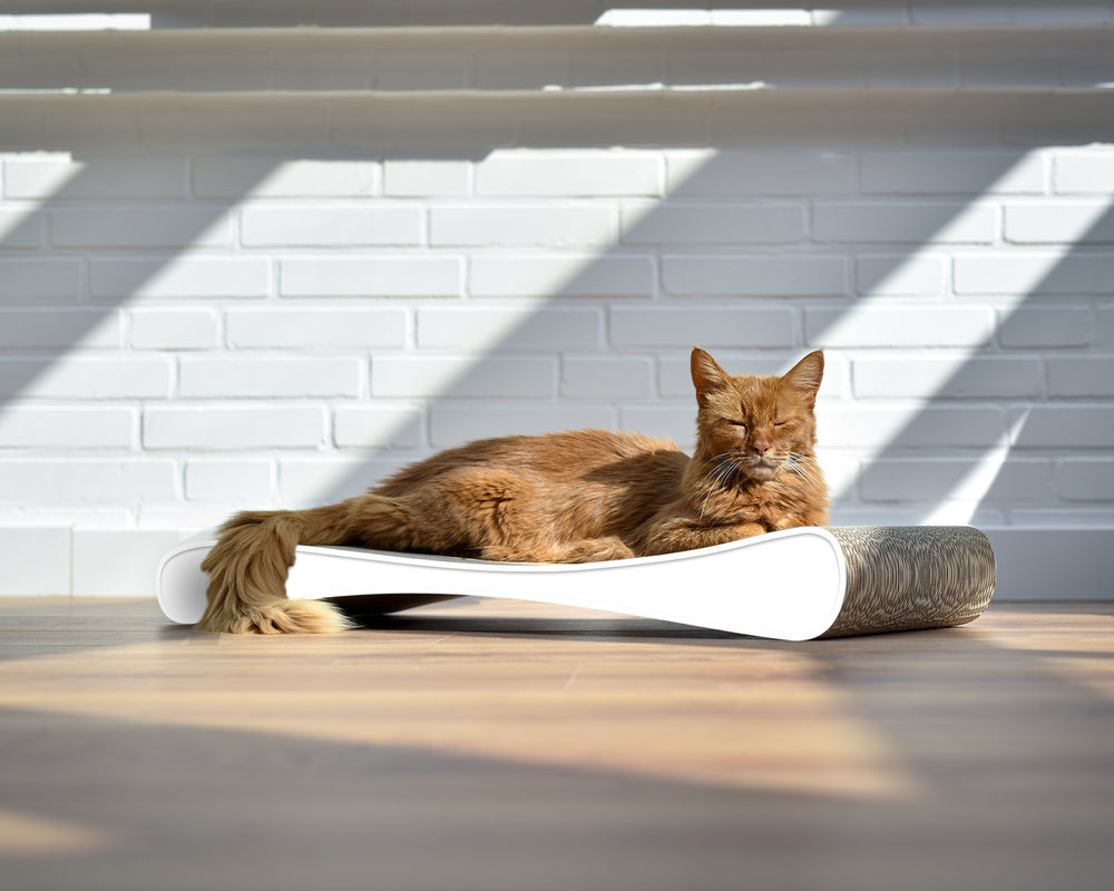 weiß mit Rand (000) - Bild 1