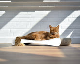 weiß mit Rand (000) - Bild 1