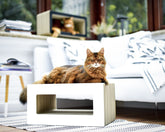 weiß, gestrichen (000x) - Bild 1