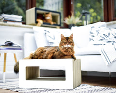 weiß, gestrichen (000x) - Bild 1