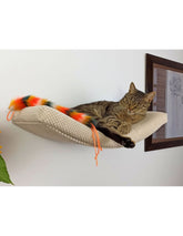Cat Shelf – The Arcing Haven | catsatelier-image-300