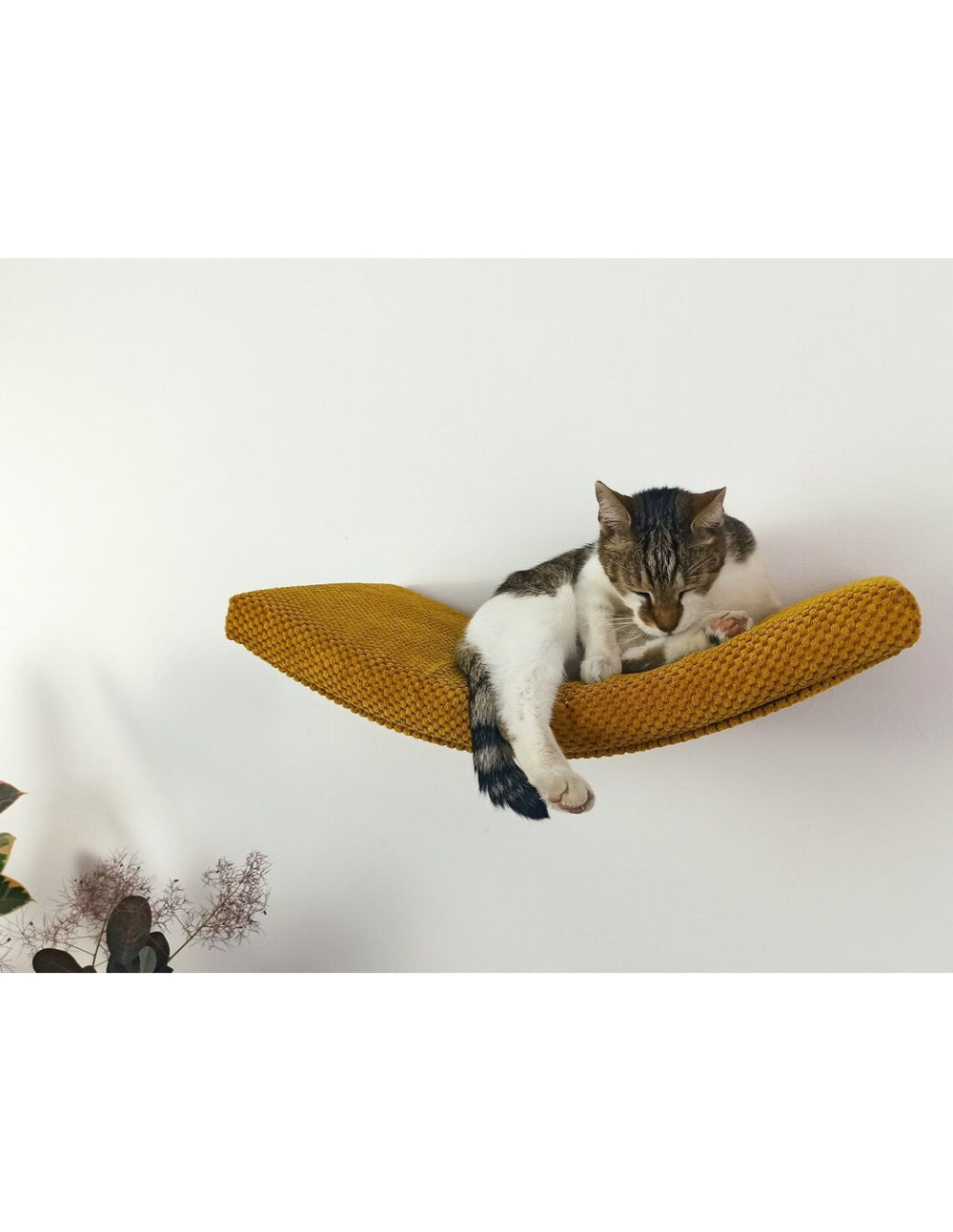 Cat Shelf – The Arcing Haven | catsatelier-image-313