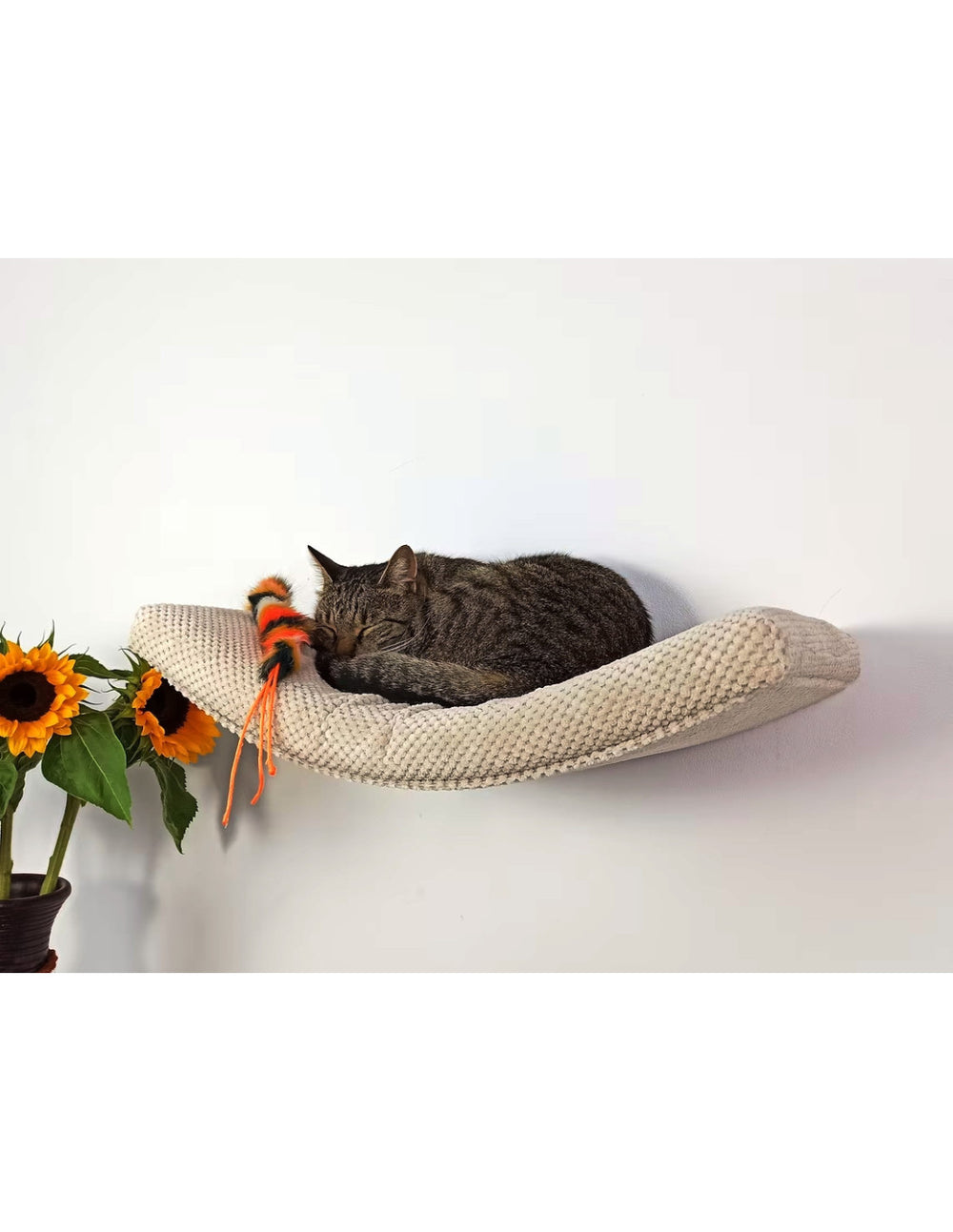 Cat Shelf – The Arcing Haven | catsatelier-image-307