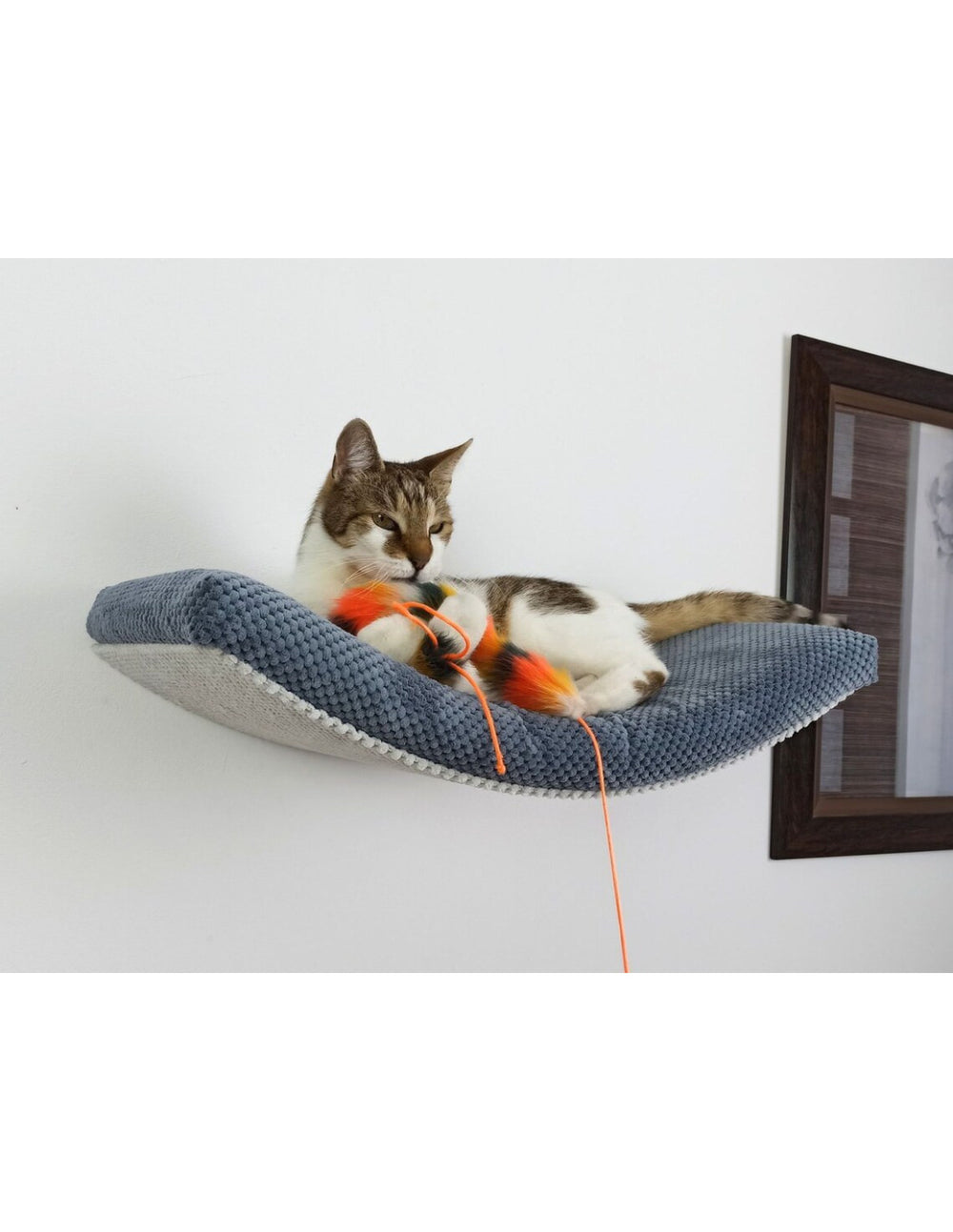 Cat Shelf – The Arcing Haven 75 cm | catsatelier-image-322