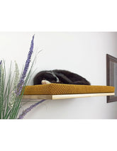 Cat Shelf – The Cozy Nook | catsatelier-image-253