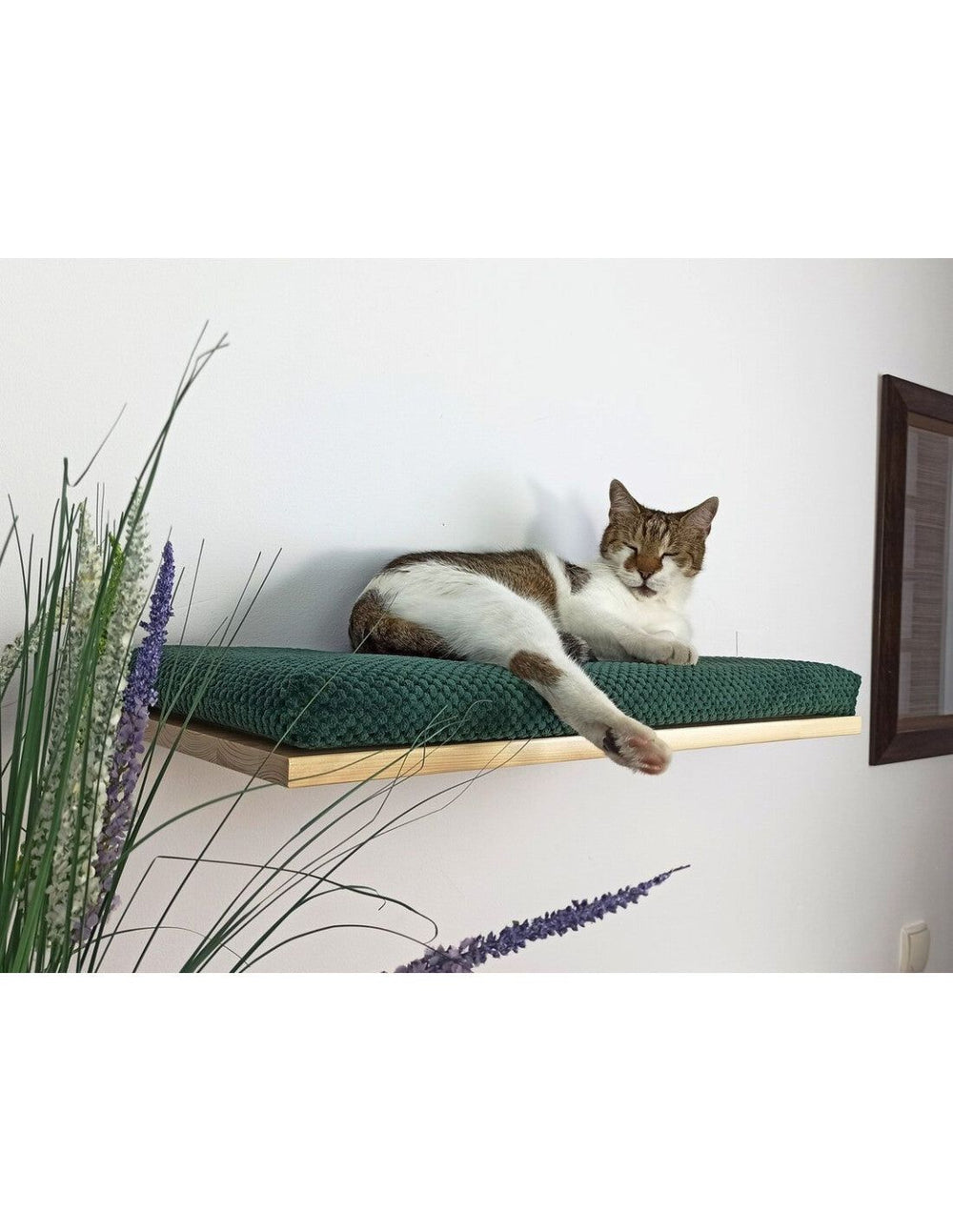 Cat Shelf – The Cozy Nook 75 cm | catsatelier-image-267
