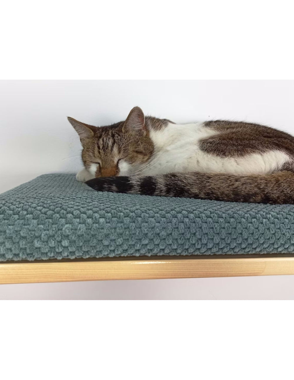Cat Shelf – The Cozy Nook 75 cm | catsatelier-image-270