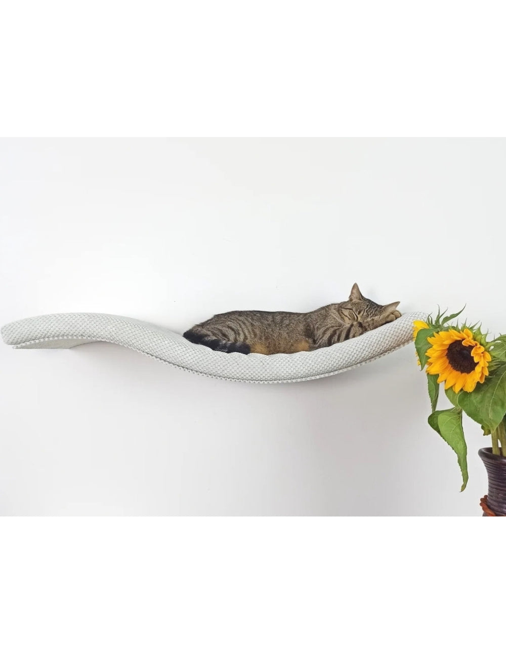 Cat Shelf – The Playful Curve | catsatelier-image-201