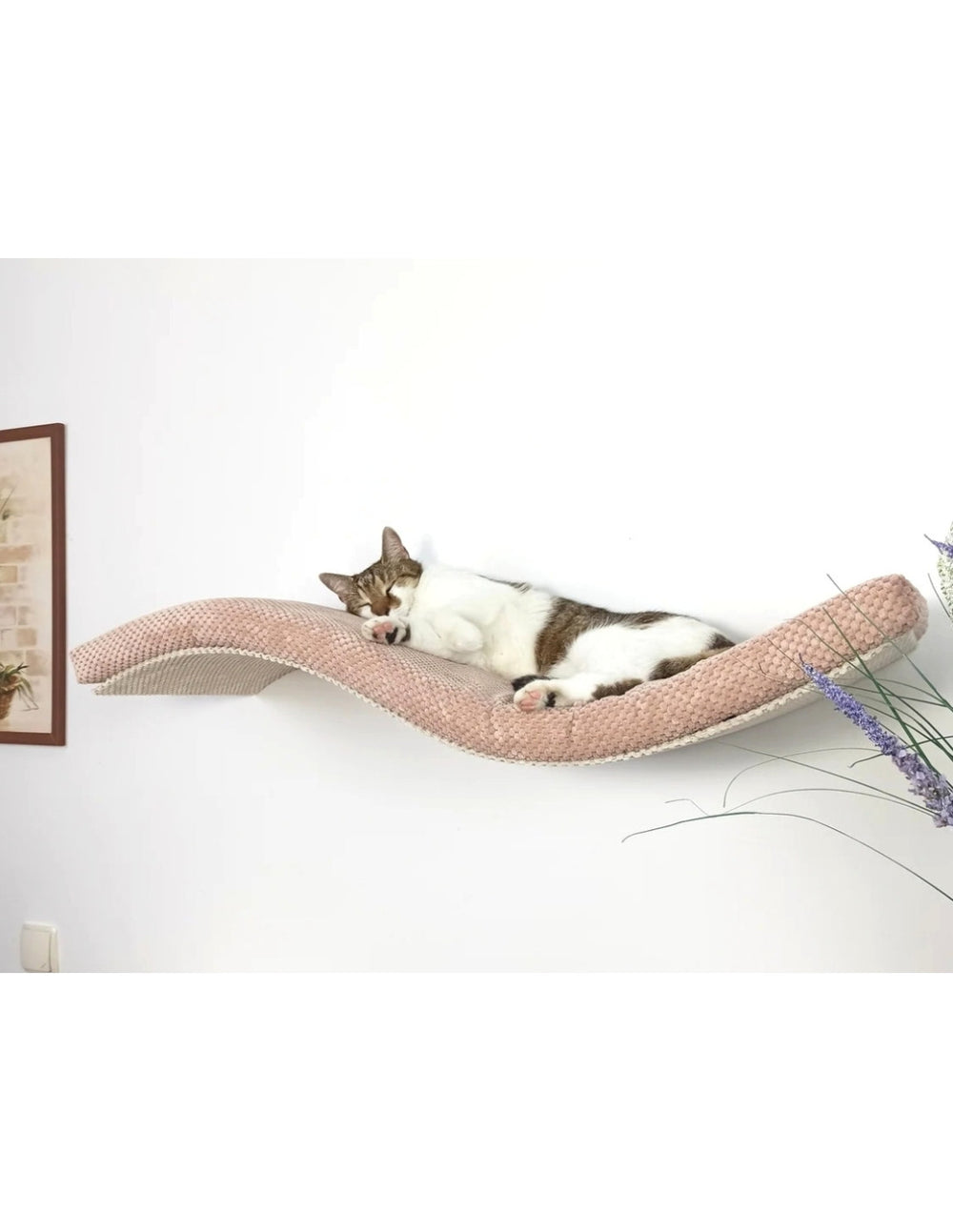 Cat Shelf – The Playful Curve | catsatelier-image-203