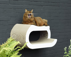 weiß, gestrichen (000x) - Bild 3