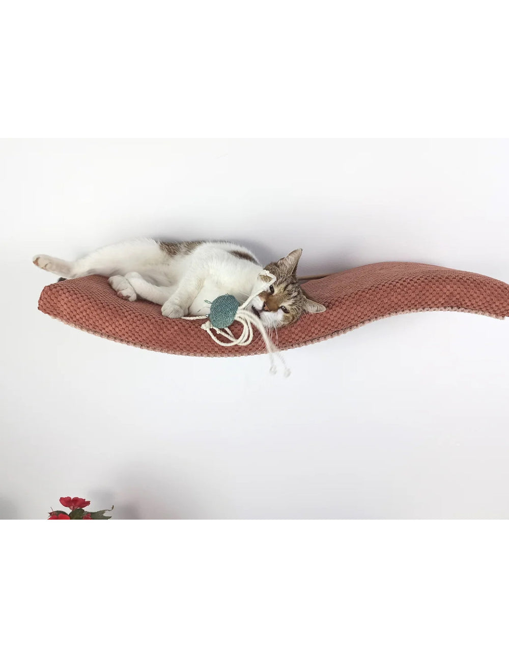 Cat Wall Shelf – Playful Curve | catsatelier-image-168
