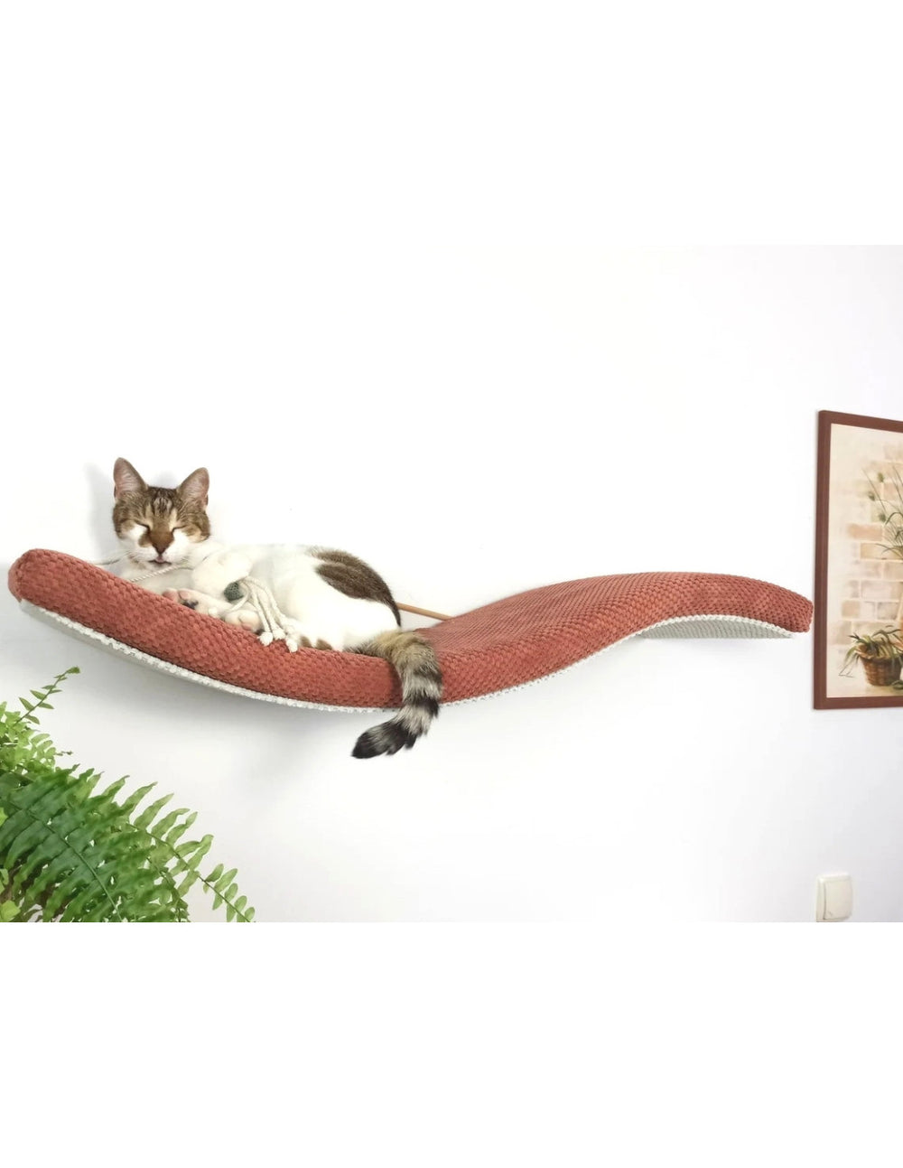 Cat Wall Shelf – Playful Curve | catsatelier-image-161