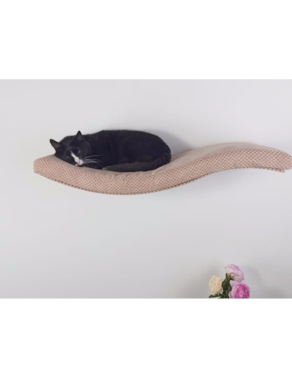 Cat Wall Shelf – Playful Curve | catsatelier-image-167